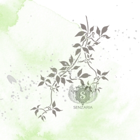 Трафарет - Клематис 3