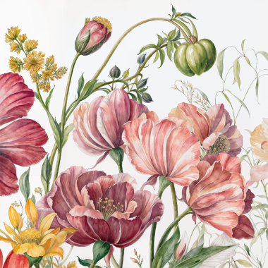 Трансфер- Гербарий 1